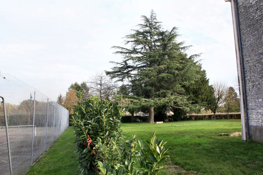 Gîte La Charmille – Saint Gaudent – 2