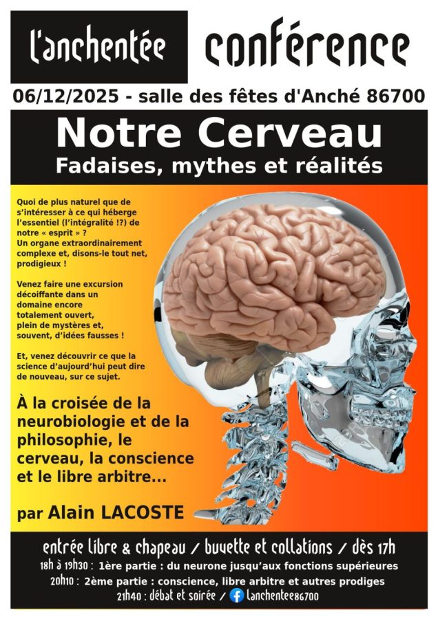 Conférence : Notre Cerveau