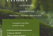 Respirer avec la forêt