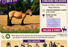 Les Sapinnettes