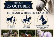 English Horse Show