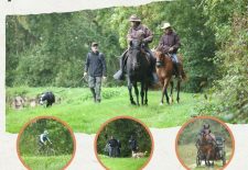 Randonnée Journée Mondiale des Animaux