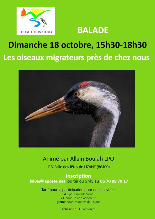 Affiche les oiseaux migrateurs 18 octobre 2026