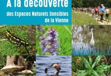 Les oiseaux du Fontou