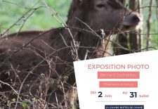 Exposition Photo : Observons la nature de Bernard Duchateau