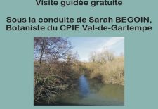 Balade botanique
