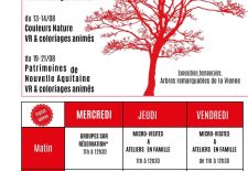 Arbres remarquables