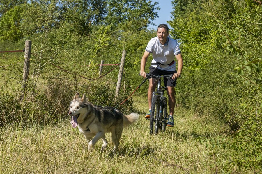 Kolyma__chiens_de_traineau