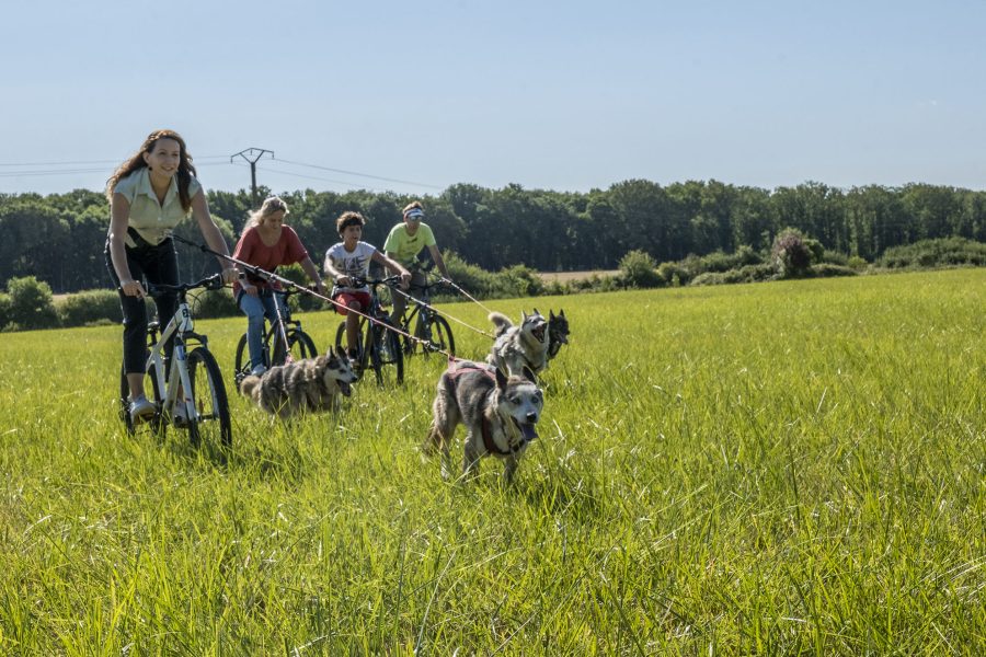 Kolyma__chiens_de_traineau