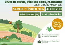 La haie dans tous se états, aimé par Prom&rsquo;Haies