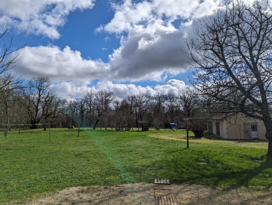 PXL_20240224_112140651