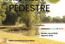 Randonnée pédestre annuelle