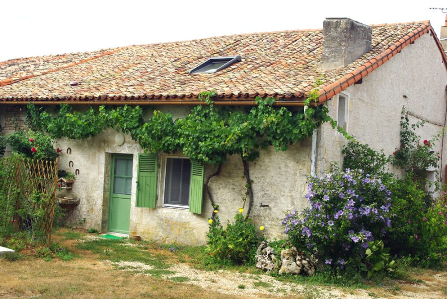 Le Tilleul – Pavillon de Chasse_1