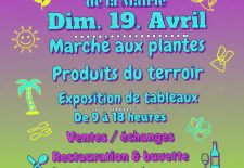 Marché au plantes