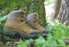 Randonnée gourmande