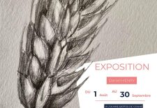 Exposition : Daniel HENRY