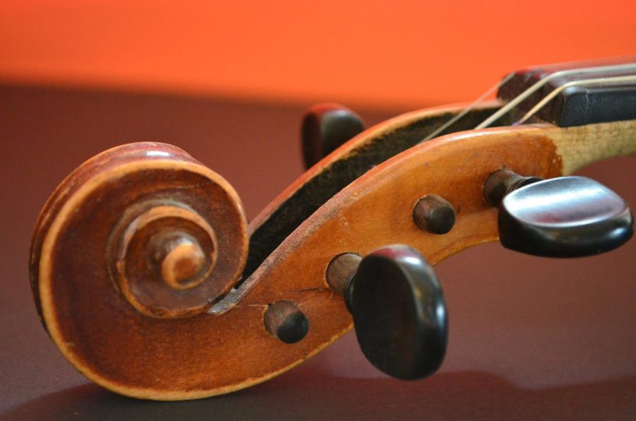 Violon